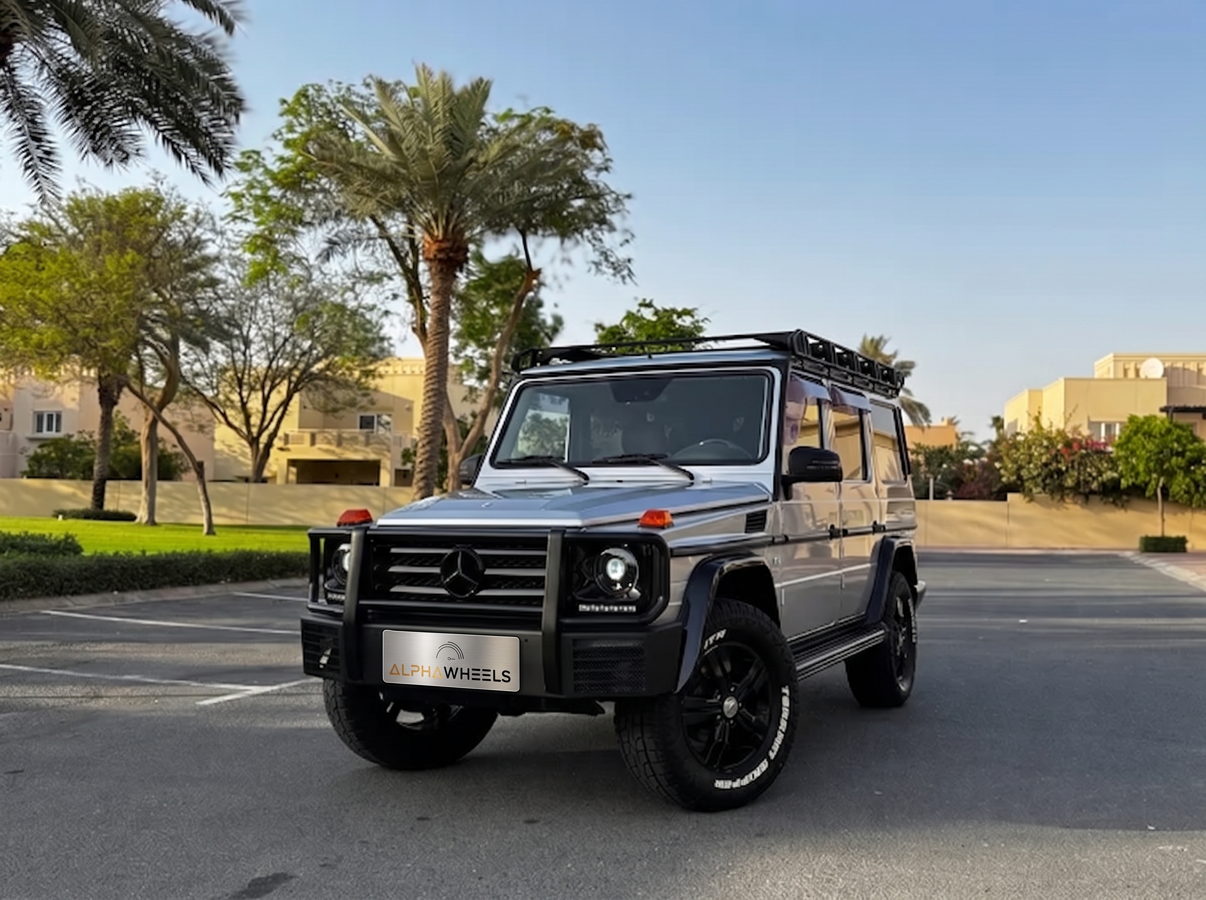 Alpha Grey Jeep